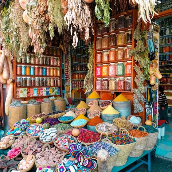 Circuits au Maroc : votre guide d’un pays unique