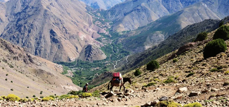 Imlil to Ouirgane, Morocco