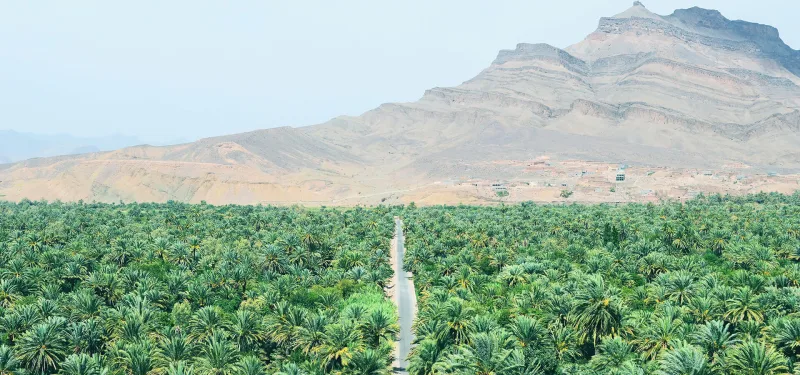 South and the Atlantic coast, Morocco