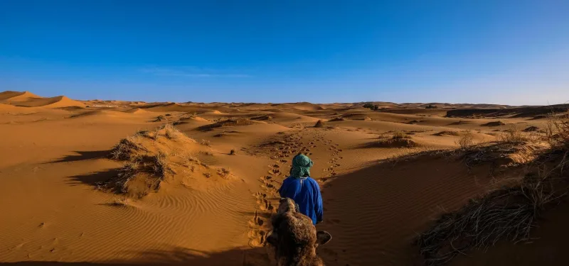 The Wonderful Morocco, Morocco